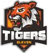 TIG