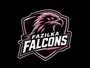 Fazilka Falcons