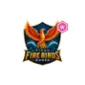 Vizag Fire Birds Women