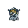 Nainital Tigers