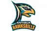 Hawksbills
