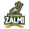 Zalmi