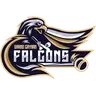 Falcons