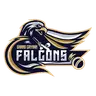 Falcons
