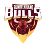 Bulls