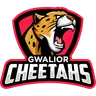 Cheetahs
