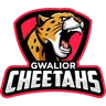 Cheetahs
