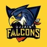 Falcons