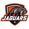 Jaguars