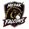 Falcons
